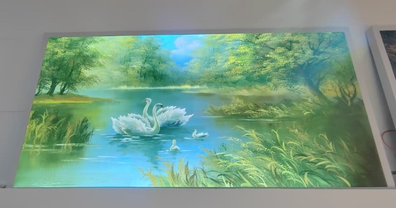 2332-3*Cuadro luminosos 60x120 72W Nº3 Lago de cisnes