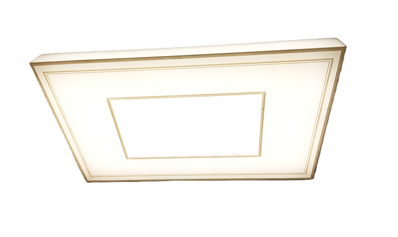 0042*OFERTA PLAFON 100W*2